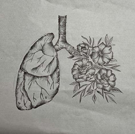 Lungs Drawing, Lungs Art, Drawings With Meaning, Medical Drawings, Skeleton Drawings, Nature Sketch, Cool Pencil Drawings, Easy Canvas Art, Canvas Painting Designs