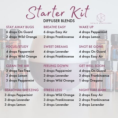 Basic essential oil blends Basic Diffuser Blends, Study Essential Oil Blend, Basic Essential Oil Blends For Diffuser, Basic Essential Oil Blends, Essential Oil Perfume Blends, Perfume Blends, Essential Oil Combinations, Essential Oil Diffuser Blends Recipes, Essential Oil Remedy