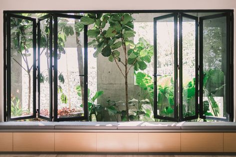 Gallery of The Window House / FORMZERO - 21 Tropical Windows, Garden Concept, Interior Board, Window House, Minimal Windows, Tropical Landscape Design, Narrow Garden, Residential Windows, Outdoor Walkway