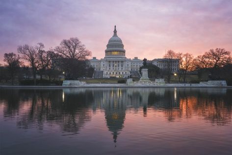 US Capitol, capitol building, reflecting pool, sunrise, early morning, pink, sky, washington dc, observing, watching, solo exhibition, one day Washington Dc Capitol, Visit Dc, Reflecting Pool, Us Capitol, Capitol Building, Solo Exhibition, Beautiful Sunrise, American Pride, Pink Sky