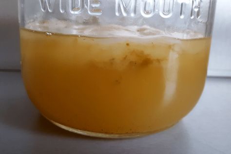 Jun Tea, Scoby Hotel, Jun Kombucha, Homemade Kombucha, Kombucha Tea, How To Make Greens, Fermented Drink, Kombucha, Top Tips