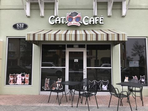 Cat Cafe Ideas, Cat Cafe Aesthetic, Cat Cafes, Pet Cafe, 9 Lives, Neko Atsume, Cat Lounge, Adventure Travel Explore, Cat Cafe