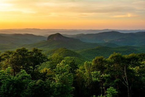 Filled with peaks, waterfalls, and hiking trails, there's outdoor fun for everyone at this 500,00-acre national forest located just a short drive from Asheville, Hendersonville, and Brevard. Natural Water Slide, Pisgah National Forest, Cascade Waterfall, North Carolina Mountains, Forest Mountain, Western North Carolina, Scenic Byway, Forest Service, Blue Ridge Parkway