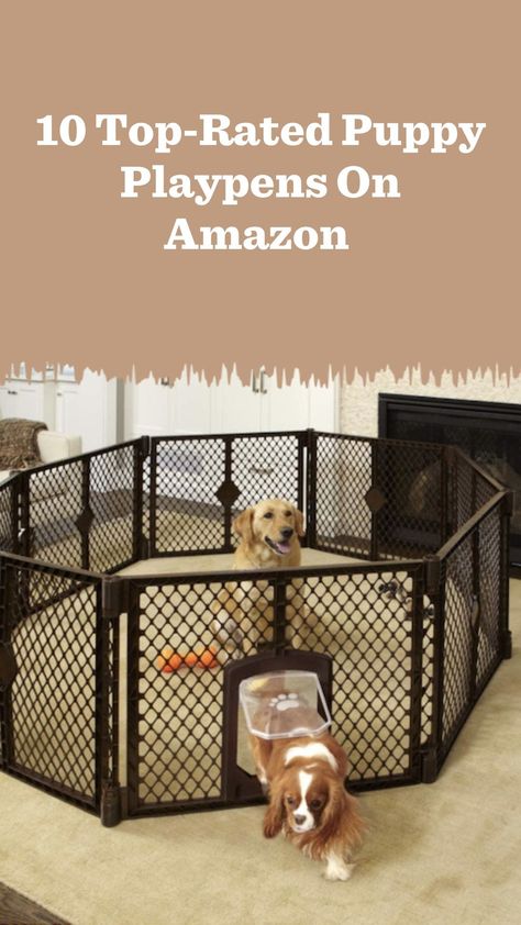 Whether you’re crate training or just need a place for your pup to hang out, these top-rated puppy playpens on Amazon suit all your needs. Dog Kennel Designs, Puppy Playpen, Puppy Time, Dog Playpen, Best Puppies, Dog Rooms, Crate Training, Dog Kennel, Diy Dog Stuff