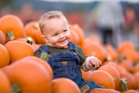 Pumpkin Patch Photoshoot Family Of 3, Pumpkin Shoot, Pumpkin Pics, Pumpkin Patch Photography, Fall Baby Photos, Fall Baby Pictures, Pumpkin Patch Photoshoot, Pumpkin Patch Pictures, Boy Photo Shoot