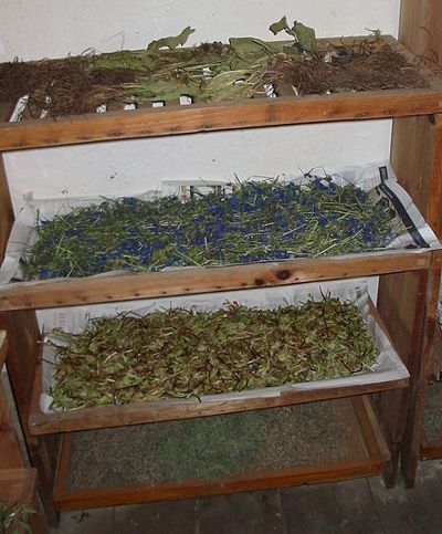 racks for drying herbs Herb Drying Rack Diy Frames, Herb Drying Shed, Diy Dehydrator, Suburban Homesteading, Herb Drying Rack, Herb Drying, Homesteading Tips, Dry Herbs, Drying Racks