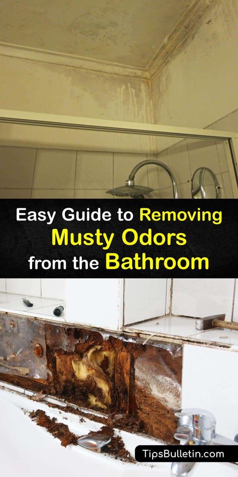 Mildew smell, toilet bowl odor, and sewer gas smell are all unwanted bathroom odors. Eliminate a bathroom smell by cleaning items that smell musty with DIY mildew cleaner, removing hard water stains, treating the tank, and performing regular maintenance. #bathroom #smells #musty Removing Hard Water Stains, Diy Cleaner, Bathtub Repair, Toilet Odor, Smell Remover, Bathroom Odor, Mildew Remover, Mold In Bathroom, Smelling Good