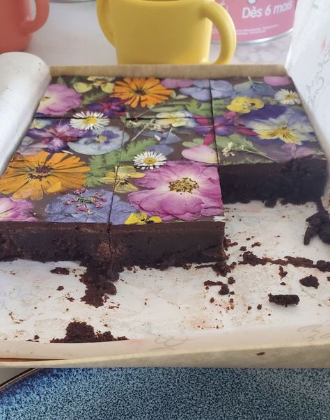 Flowers Herbarium Chocolate Brownie cake Edible Flowers Dessert, Flower Brownies, Edible Flower Cake, Cake With Edible Flowers, Edible Flowers Cake, Flower Desserts, Chocolate Brownie Cake, Edible Flowers Recipes, Pastel Cupcakes