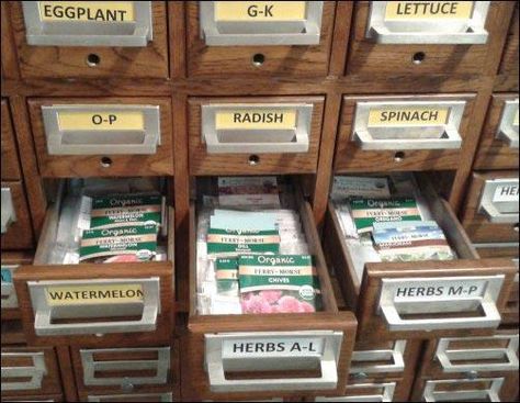 Seed Box Ideas, Seed Organization, Pnw Gardening, Sugarberry Cottage, Seed Library, Seed Storage, Seed Bank, Seed Saving, Little Library