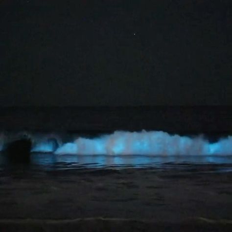 Bioluminescence Beach, Ocean At Night, Beach Night, Relaxing Places, Newport Beach, Orange County, This World, Newport, Photo Poses