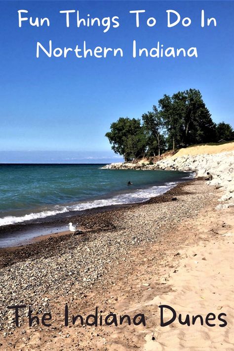 The Beach at Southern Lake Michigan: water meets land. There is a tree on the horizon. Blue skies above. Gary Indiana Things To Do, Indiana Beach, Michigan City Indiana, Fat Fingers, Indiana Dunes National Park, Gary Indiana, Northern Indiana, Indiana Dunes, Indiana Travel