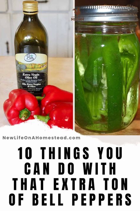 Peppers can be tricky and temperamental to grow, but sometimes things go too well! Learn what to do with extra peppers. #gardening #harvest #kitchen Canning Bell Peppers, Peppers Gardening, Preserving Peppers, Low Acid Recipes, Harvest Kitchen, Sweet Bell Peppers, Roasted Peppers, Snack Tray, Most Popular Recipes