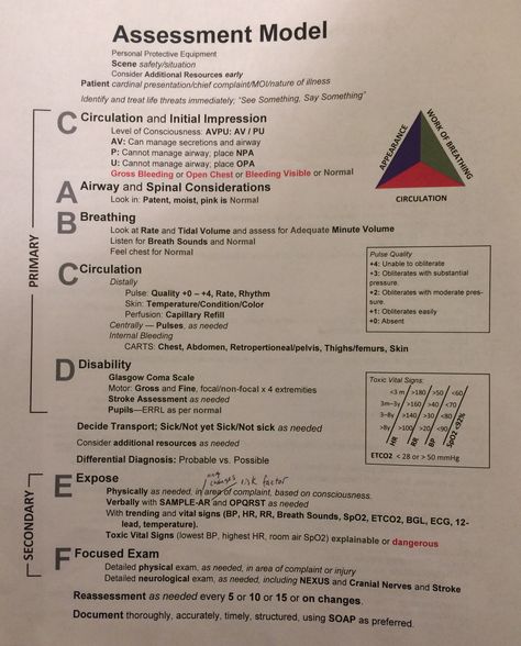 Patient Assessment Model Emt Basic Notes, Patient Assessment Emt, Nclex Mnemonics, Kaplan Nursing, Emt Basic, Nursing Documentation, Patient Assessment, Emt Study, Paramedic School