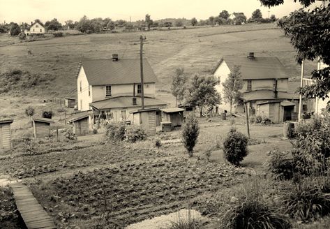 Mingo County, Mcdowell County, Grant County, Marion County, Point Pleasant, Summer Getaway, Coal Mining, Cool Countries, The Ghost