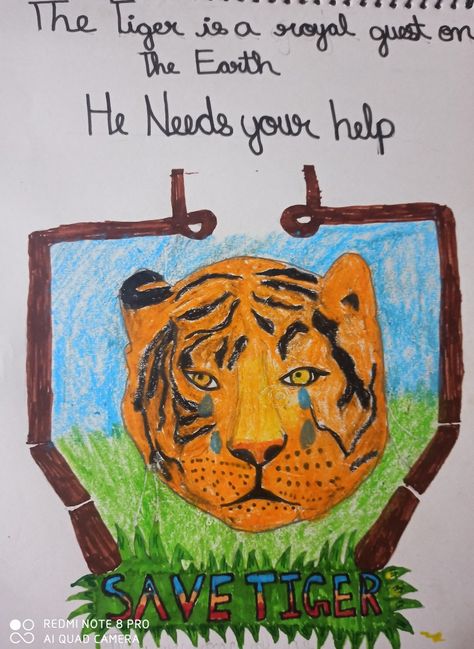 This is a drawing about a tiger who is crying and needs your help Don't hunt tigers 🐅🐅🐯🐯 Save Tiger Poster Drawing, Save Tiger Drawing, A4 Size Paper Drawing, Save Tiger Poster Ideas, Poster Ideas Drawing, Images For Drawing, Save The Tiger, Tiger Images, Tiger Poster