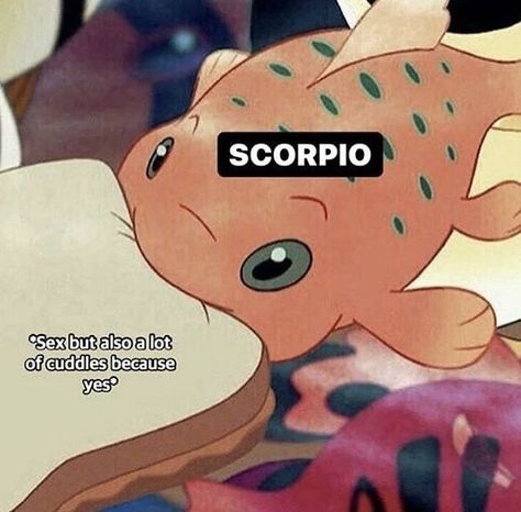 Scorpio Power, Zodiac Mind Scorpio, Scorpio Funny, Scorpio Energy, Scorpio Personality, Zodiac Quotes Scorpio, Scorpio Star, Astrology Scorpio, Aries Baby