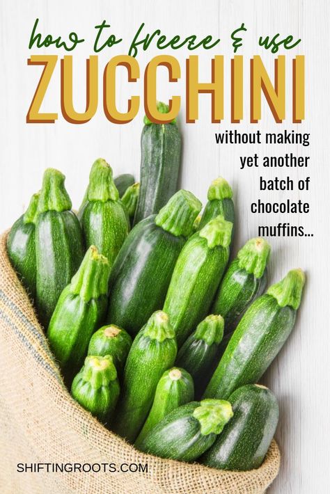 Too much zucchini or summer squash?  I'll show you how to freeze the surplus and use your fresh or frozen shredded zucchini in 10 easy ways.  You'll love these delicious zucchini recipes--with no boring chocolate zucchini cake in sight. #zucchini #recipes #frozen #shredded #summersquash #courgette Frozen Zucchini Recipes, Shredded Zucchini Recipes, Freezing Produce, Frozen Zucchini, Homestead Tips, Freezing Lemons, Homestead Diy, Paleo Vegetarian Recipes, Freezing Zucchini