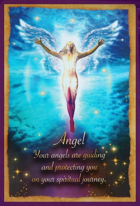 Reading Cards, Angel Tarot Cards, Angel Blessings, Angel Signs, Angel Tarot, Angel Oracle Cards, Angel Quotes, Angel Cards Reading, Angel Guide