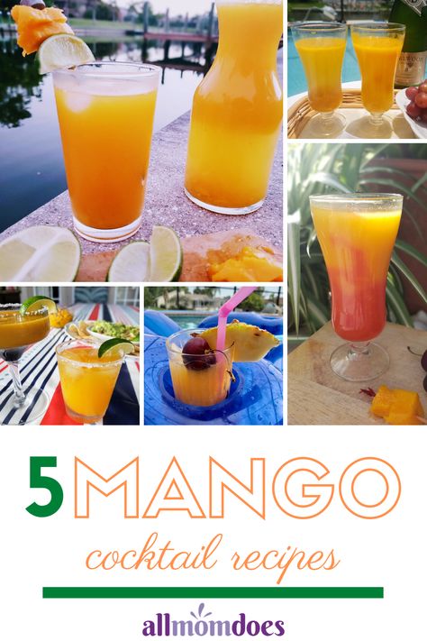 Five Refreshing Mango Drinks for Adults and Kids to Enjoy this Summer | AllMomDoes Cocktails With Mango Juice, Mango Frozen Drinks, Mango Puree Recipe For Drinks, Mango Juice Cocktail Recipes, Mango Tango Drink Cocktails, Mango Puree Cocktails, Mango Nectar Cocktail, Mango Tango Drink Recipes, Mango Drinks Nonalcoholic