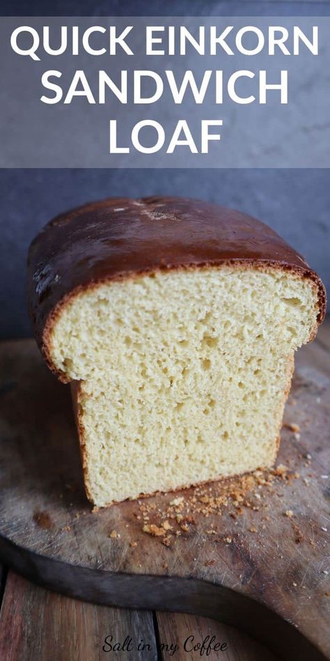 Einkorn Sandwich Bread, Einkorn Bread, Sandwich Bread Recipe, Einkorn Recipes, Sandwich Loaf, Einkorn Flour, Wheat Recipes, Sandwich Bread Recipes, Yeast Bread Recipes