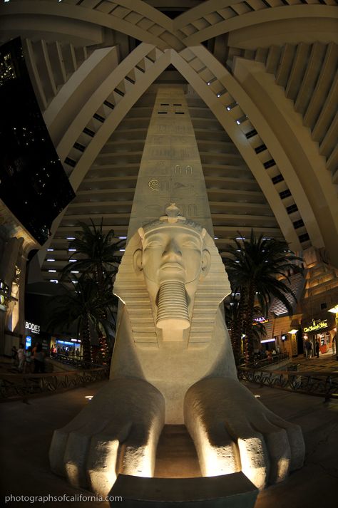 Luxor, Vegas :) Luxor Vegas, Luxor Hotel Las Vegas, Luxor Las Vegas, Luxor Hotel, Gambling Art, Los Vegas, Las Vagas, Vegas Fun, Las Vegas Resorts