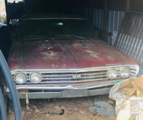 After being found hidden in s shed, this 1967 Chevelle SS 396 has emerged into the light of day. What would be your next step with this classic? #ChevelleSS396, #Chevrolet 1967 Chevelle Ss, 1967 Chevelle, Chevrolet Dealership, 72 Chevelle, Chevrolet Chevelle Ss, Cars Muscle, Chevelle Ss, Chevrolet Chevelle, Exterior Trim