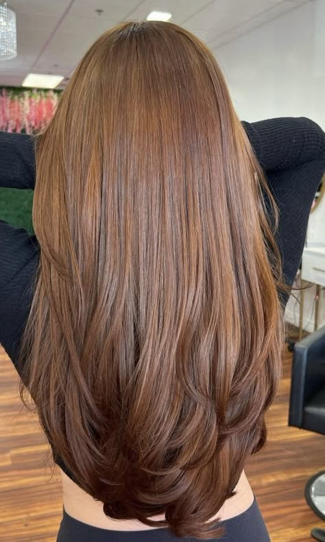 Honey Tones Hair, Orange Ish Brown Hair, Honey Chestnut Brown Hair, Copper Ashy Hair, Sugar Brown Hair, Light Brown Cinnamon Hair Color, Hair Colors Pale Skin, Amber Brown Hair With Highlights, Cinnamon Brown Hair Color Caramel