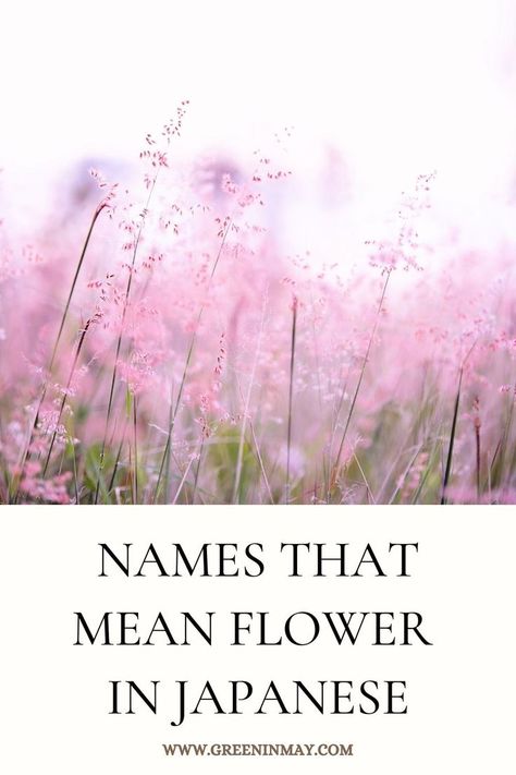 Flower names are a popular choice for both boys and girls nowadays. With many Japanese names that mean flower, parents have a wide range of options to choose from. With such meaningful names, it is no wonder that flower names are a popular choice for Japanese parents. Here is a comprehensive list of Japanese names that mean flower Japanese Flower Names, Japanese Names For Girls, Japanese Girl Names, Flower Names For Girls, Japanese Boy Names, Love Island Contestants, The Shameless, List Of Girls Names, Meaningful Names