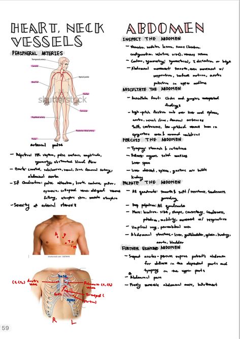 Nursing Gcs, Head To Toe Assessment Nursing, Apical Pulse, Assessment Nursing, Breath Sounds, Nursing 101, Student Tips, Nursing School Motivation, School Must Haves