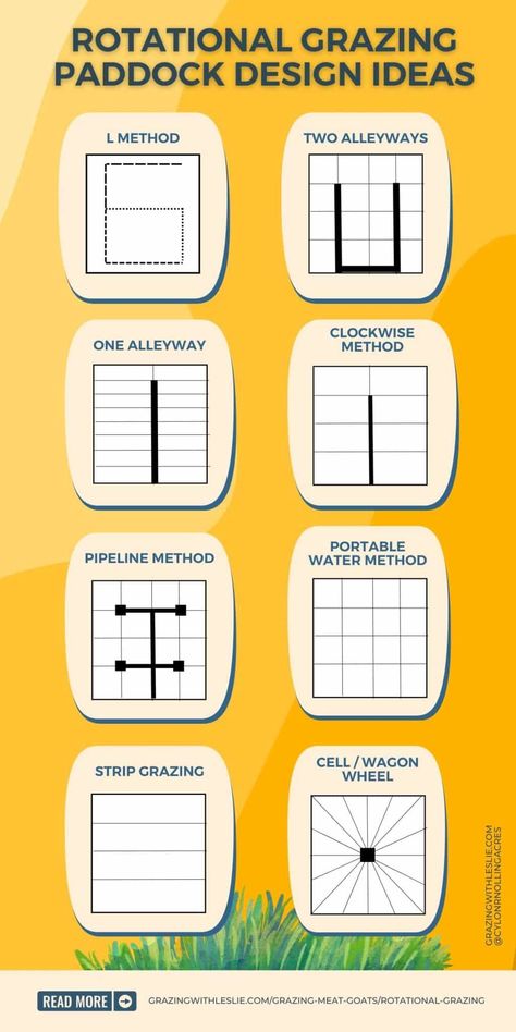 Rotational grazing: A practical guide - Grazing with Leslie Round Bale Feeder, Rotational Grazing, Pastured Pigs, Poultry Farm Design, Drawing Salve, Horse Barn Ideas Stables, Black Drawing, Farm Plans, Future Farms