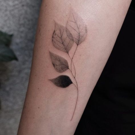 Black And White Cover Up Tattoo Ideas, Botanical Tattoo Cover Up, Minimal Leaf Tattoo, Leaf Cover Up Tattoo, Bodhi Leaf Tattoo, Tattoo Ideas Plants, House Plant Tattoo, Small Cover Up Tattoo, Leaf Tattoo Design