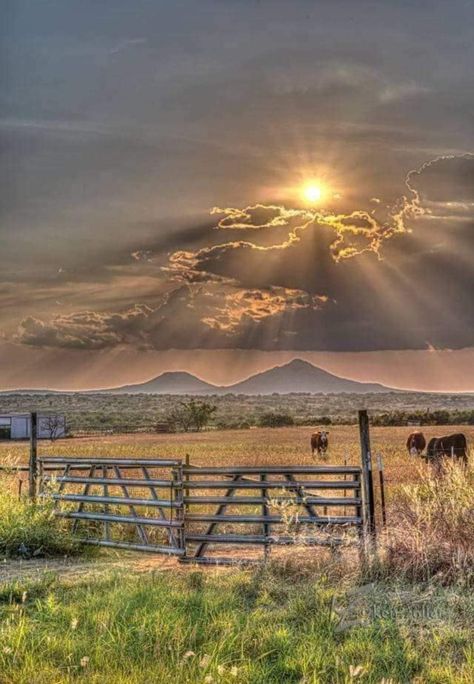 Country Scenes Farms Landscapes, Western Scenery, Colorado Painting, Landscape Pics, Phone Decorations, Country Backgrounds, Country Photography, Western Photography, Nature Life