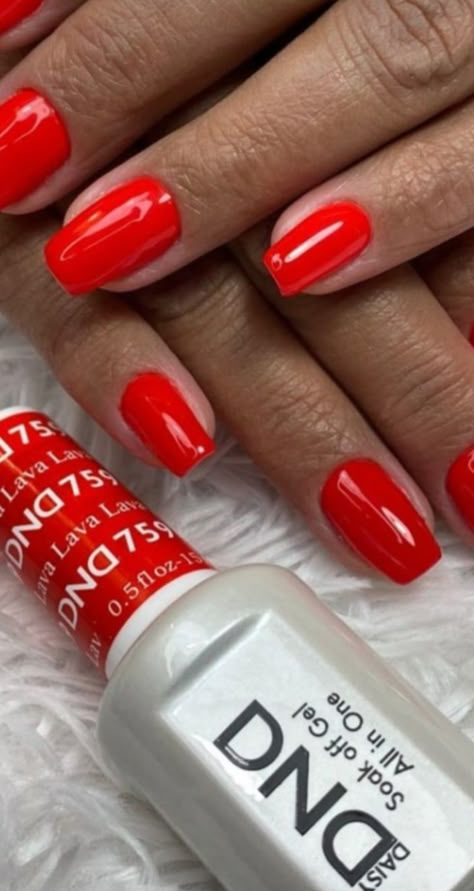 Lava Red Nails, Dnd 757 Chili Pepper, Dnd Lava Red Nails, Summer Red Nails Dnd, Chili Red Nails, Red Dnd Gel Polish Colors, Dnd Red Gel Polish Colors, Dnd Red Gel Polish, Rosy Nails