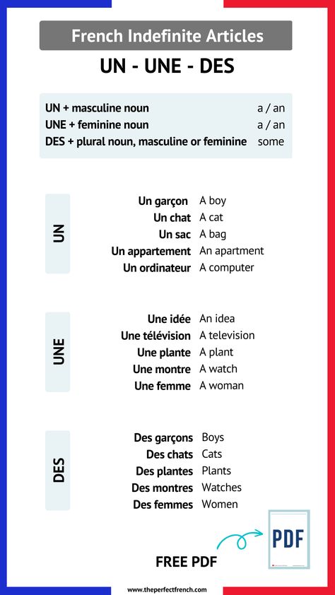 Basic French Grammar, French Grammar Rules, French Sentences With Meaning, French Grammar Worksheets, Grammar French, Articles In French, French Grammar Exercises, French Revision, French Nouns