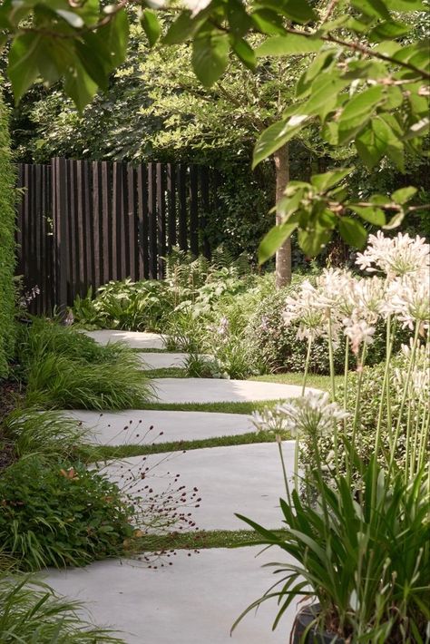 Lots Of Plants, Garden Paving, Side Garden, Contemporary Garden, Mediterranean Garden, Garden Landscape Design, City Garden, Courtyard Garden, Back Garden