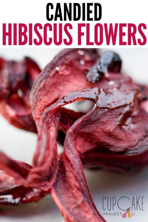 Rather than throw away the hibiscus flowers that I had brewed into hibiscus tea, I saved them and let them do double duty as candy – hooray for less food waste*.  Candied hibiscus flowers are sweet and super crunchy and I could totally see an alternate universe where popcorn was weird and candied hibiscus flowers were the normal snack to munch on while watching a movie. #Candied #Hibiscus #Candy Candied Hibiscus Flower Recipe, Candied Hibiscus Flower, Hibiscus Flower Uses, Kir Recipe, Hibiscus Dessert, Hibiscus Flower Recipes, Roselle Recipes, Hibiscus Recipe, Cranberry Hibiscus