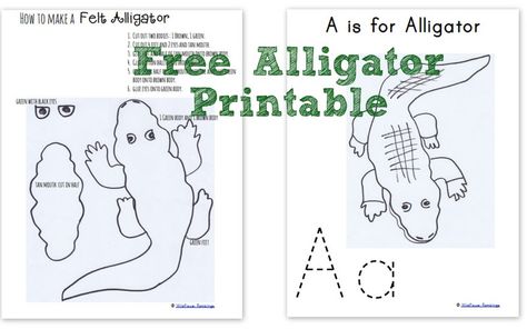 Alligator Printable -- make your own #preschool -- Wildflower Ramblings Alligator Printable, Felt Alligator, Ornament Printable, Animals Together, Phonetic Sounds, Animal Felt, Abc Crafts, Felt Puppets, Tummy Time Activities