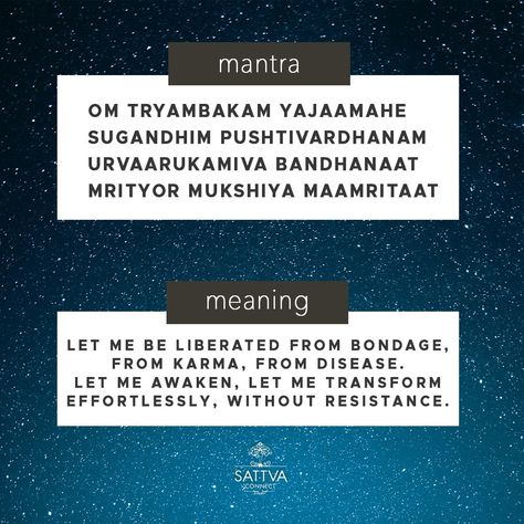 Maha Mitrunjaya Mantra, Mahadev Mantra, Mahamrityunjay Mantra, Maha Mantra, Shiva Quotes, Shiva Mantra, Lord Shiva Mantra, Indian Philosophy, Sanskrit Mantra