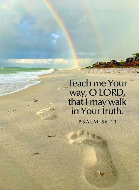 My Morning Walks with God Good Morning Bible Verse, Morning Scripture, Bible Verse Background, Morning Walks, Bible Quotes Images, Prayers For Children, Beautiful Prayers, Scripture Reading, Encouraging Scripture