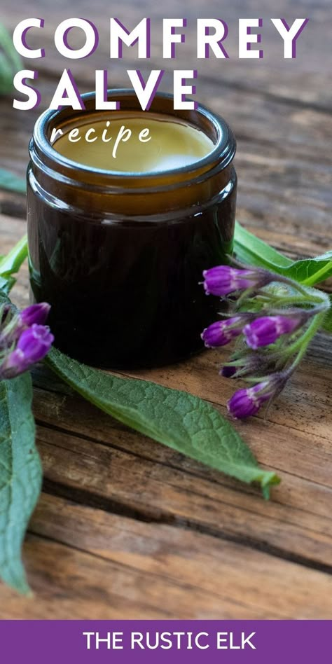 Have bumps or scrapes? Try making this amazing comfrey salve to help with pain and inflammation. Super easy to make, and perfect for people just beginning their herbalism journey comfrey has many benefits and this salve is sure to help ease some of your issues. Comphrey Salve Recipes, How To Make Comfrey Salve, Comfrey Infused Oil, Comfrey Oil How To Make, Comfrey Root Uses, How To Use Comfrey Leaves, Diy Comfrey Salve, Pine Needle Salve, Comfrey Uses