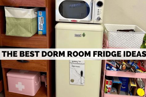 The Best Dorm Room Fridge Ideas You Need To See - Ryality Room Fridge Ideas, Dorm Fridge Organization, Dorm Room Fridge, Fridge Organization Ideas, Room Fridge, Pink Mini Fridge, Fridge Ideas, Dorm Room Themes, Dorm Themes