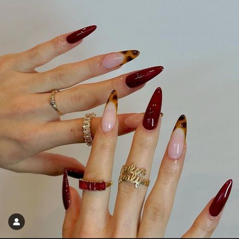 Crazy Red Nails, Leopard Red Nails, Almond Leopard Nails, Leopard And Red Nails, Red Leopard Nails, Leopard Nail Designs, Long Almond Nails, Red And Gold Nails, Leopard Nails