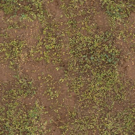 Earth with Foliage — Architextures Grass Texture Seamless, Forest Ground, Mountain Texture, Ground Texture, Terrain Texture, Earth Texture, Texture Jewelry, Soil Texture, Texture Download