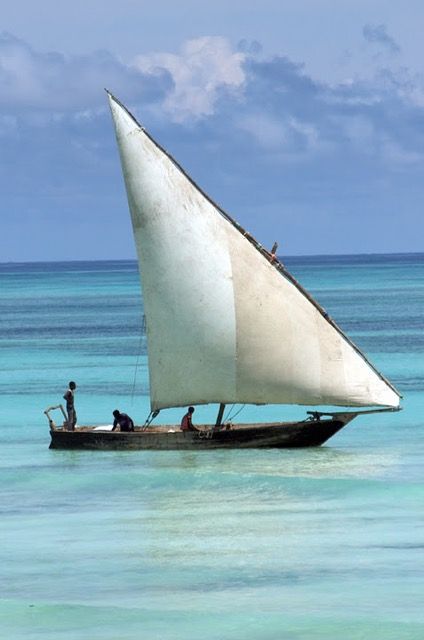 Dhow Boat Zanzibar, Dhow Ship, Sailing Art, Old Boats, Coastal Lifestyle, Sail Boats, Boat Art, Boat Painting, Classic Boats