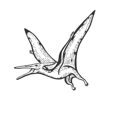 Small Pterodactyl Tattoo, Cute Pterodactyl Tattoo, Teradactyl Tattoo, Pterodactyl Illustration, Pterodactyl Drawing, Pterodactyl Tattoo, Doodle Wall, Dinosaur Sketch, Dinosaur Tattoos