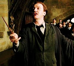 Remus Lupin Gif, Hp Quiz, Remus Lupin Moony, Remus And Tonks, Lupin Harry Potter, Hogwarts Classes, David Thewlis, Butterfly Place, Gellert Grindelwald