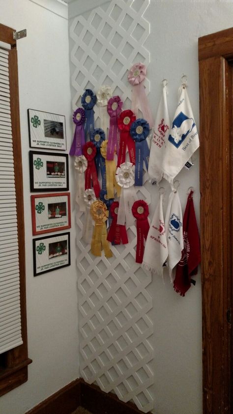 Horse Show Ribbon Display Lattice, Horse Show Ribbon Storage, 4h Ribbon Display, Equestrian Ribbon Wall, Equestrian Room Decor, Equestrian Aesthetic Bedroom, Horse Rosette Display, 4-h Ribbon Display Ideas, Equestrian Ribbon Display Ideas