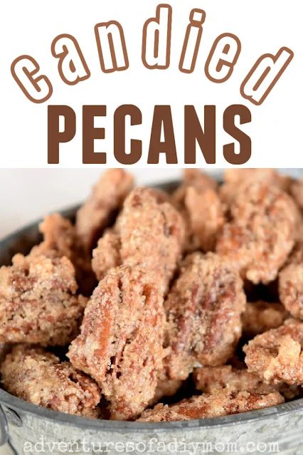 Make candied pecans this holiday season with this EASY recipe! They're so good they'll get gobbled up quick! Candid Pecans Recipes, Candied Nuts Recipe Easy, Candy Pecans, Candied Pecans Easy, Candied Nuts Recipe, Pecan Recipes Easy, Pecan Candy, Sugar Pecans, Candied Pecans Recipe