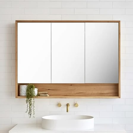 Bathroom Mirror Cabinet, Shaving Cabinet | The Blue Space Bathroom Mirror Storage, Modern Bathroom Mirrors, Timber Vanity, Shaving Cabinet, Latest Bathroom, Blue Space, Bathroom Mirror Cabinet, Mirror Cabinet, Storage Mirror