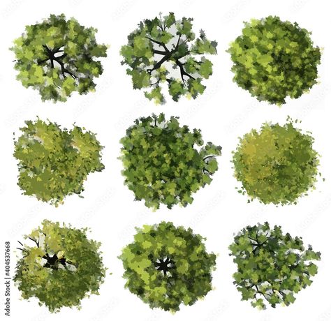 Collection of abstract watercolor green tree top view isolated on white background for landscape plan and architecture layout drawing, elements for environment and garden, green grass illustration Stock Illustration | Adobe Stock Layout Drawing Architecture, Architecture Landscape Plan, Tree Top View Architecture, Landscape Layout Plan, Trees In Plan, Tree Top View Png, Tree Plan Photoshop, Tree Plan Png, Top View Illustration